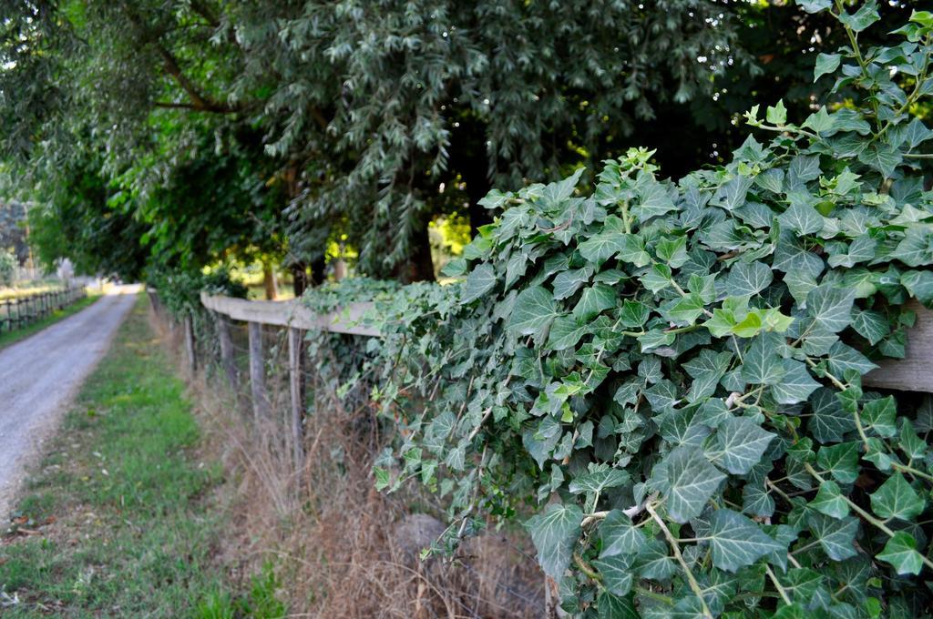 Le Macine Relais Bed & Breakfast Cairo Montenotte Eksteriør bilde
